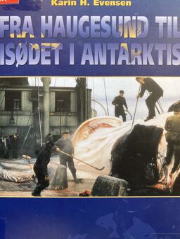 forsidebilde - trykk for å vise stor versjon