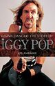 Omslagsbilde:Gimme danger : the story of Iggy Pop