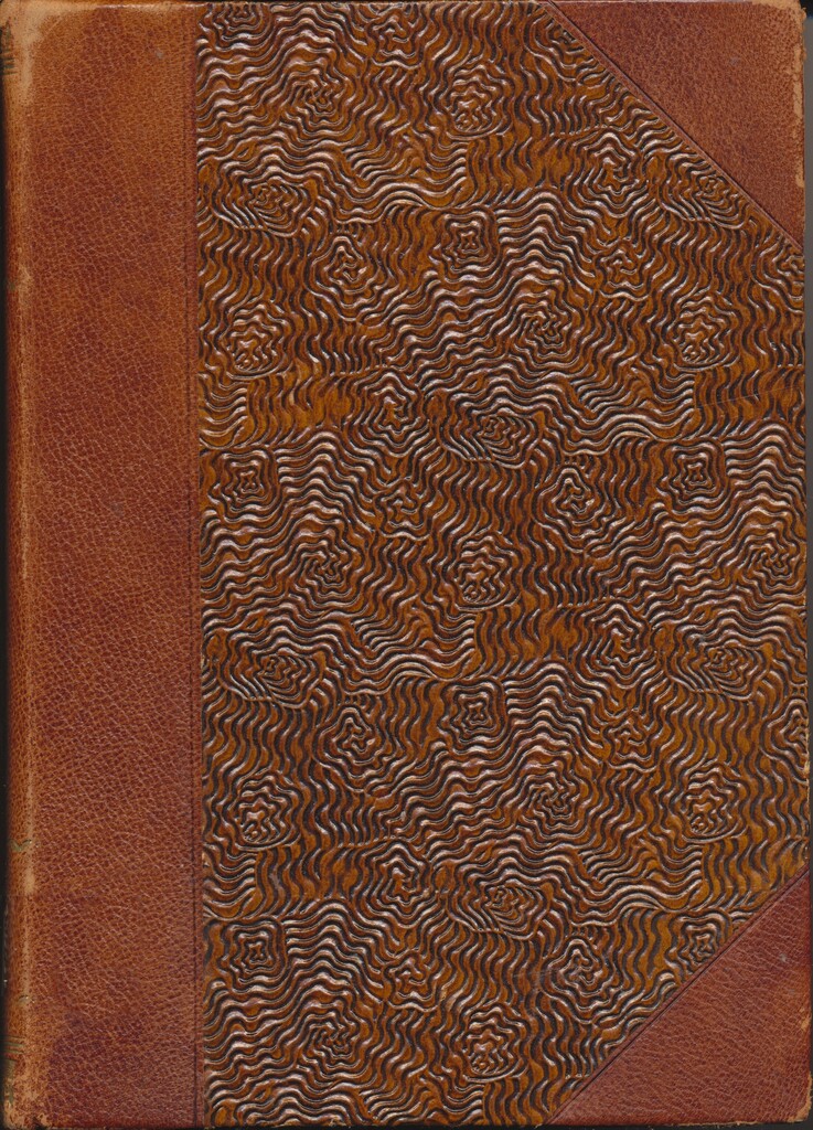 Forsidebilde