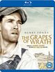 Omslagsbilde:The grapes of wrath