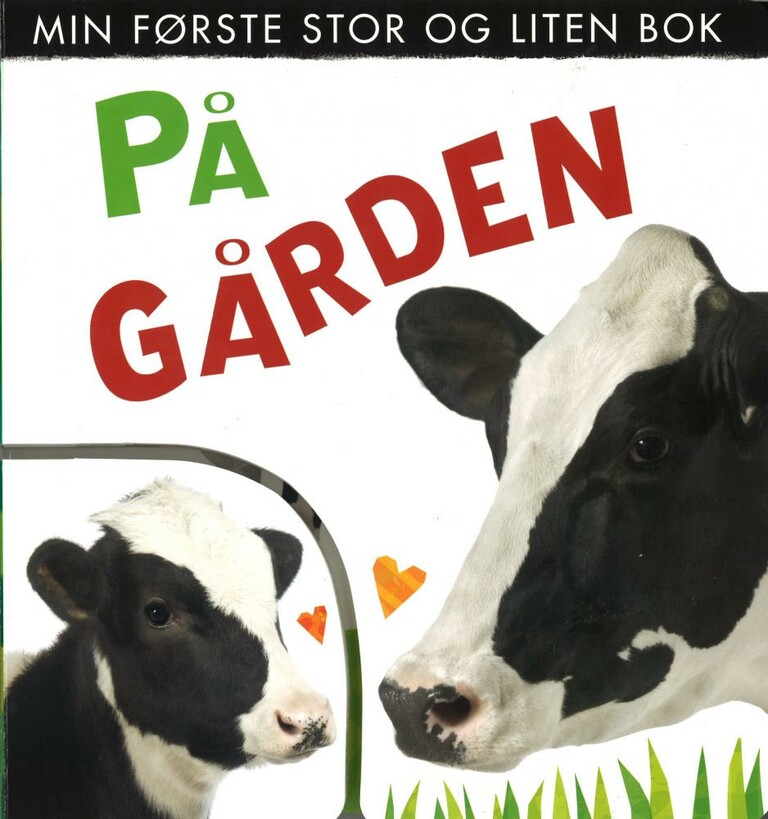 Forsidebilde