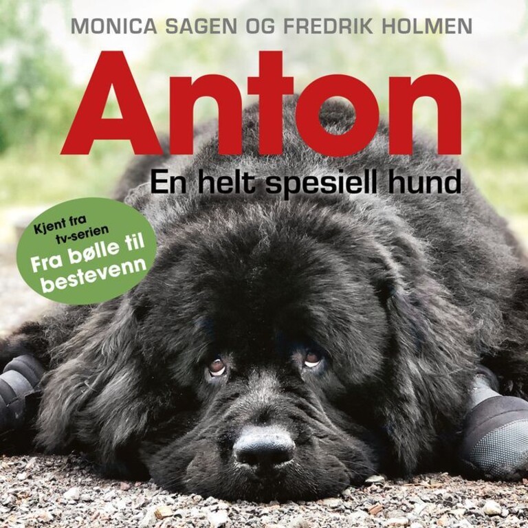 Anton - en helt spesiell hund