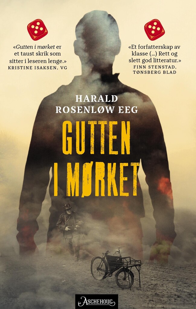 Gutten i mørket : roman