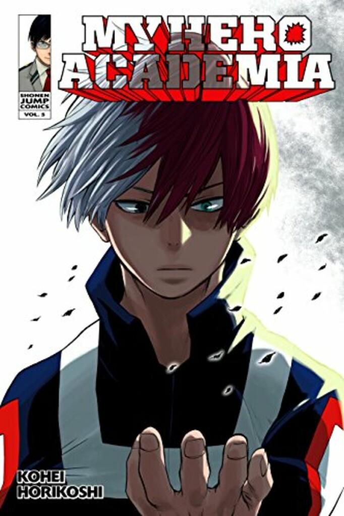 Shoto Todoroki : origin