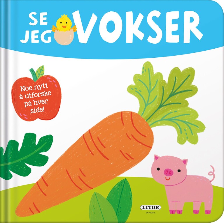 Forsidebilde