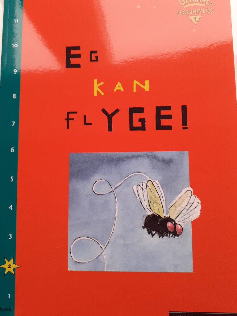 Eg kan flyge!(nynorsk)