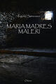 Omslagsbilde:Maria Madres maleri : roman