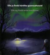 Omslagsbilde