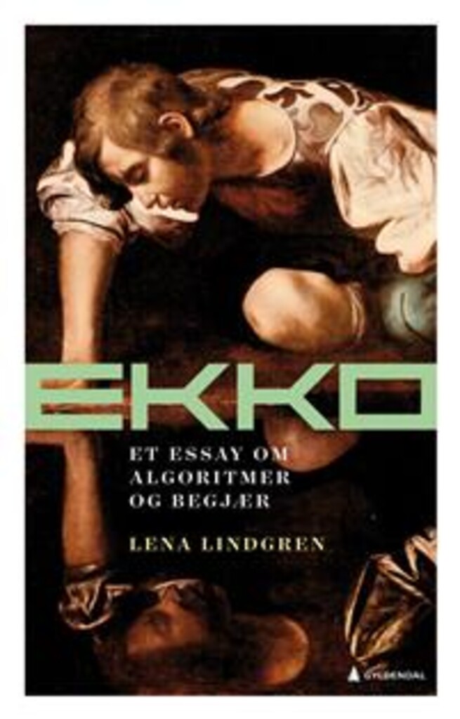 Ekko - et essay om algoritmer og begjær