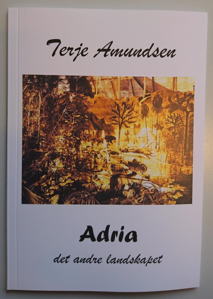 Forsidebilde