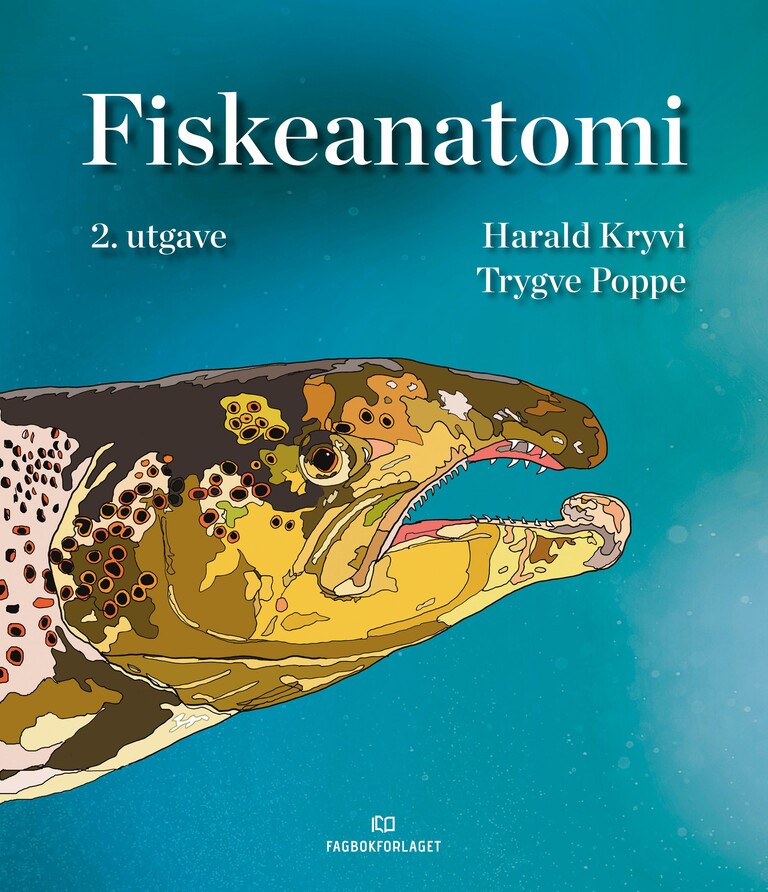 Forsidebilde