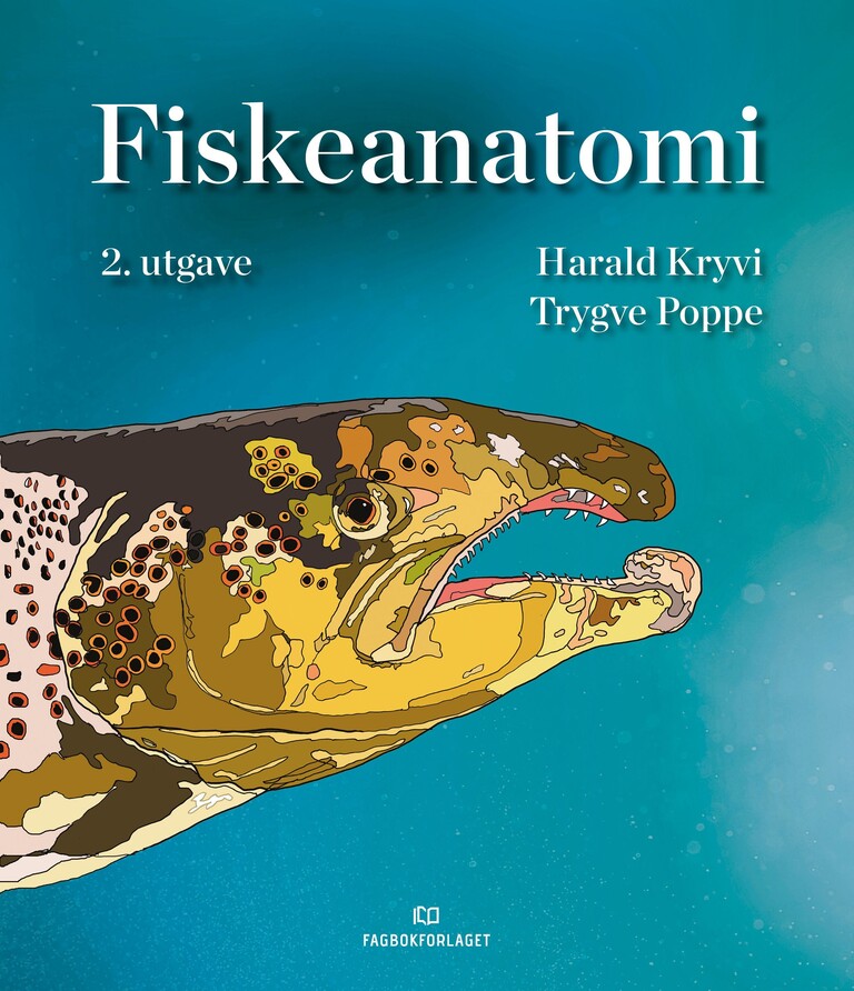 Forsidebilde