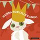 Cover photo:Hurra for lille kanin!