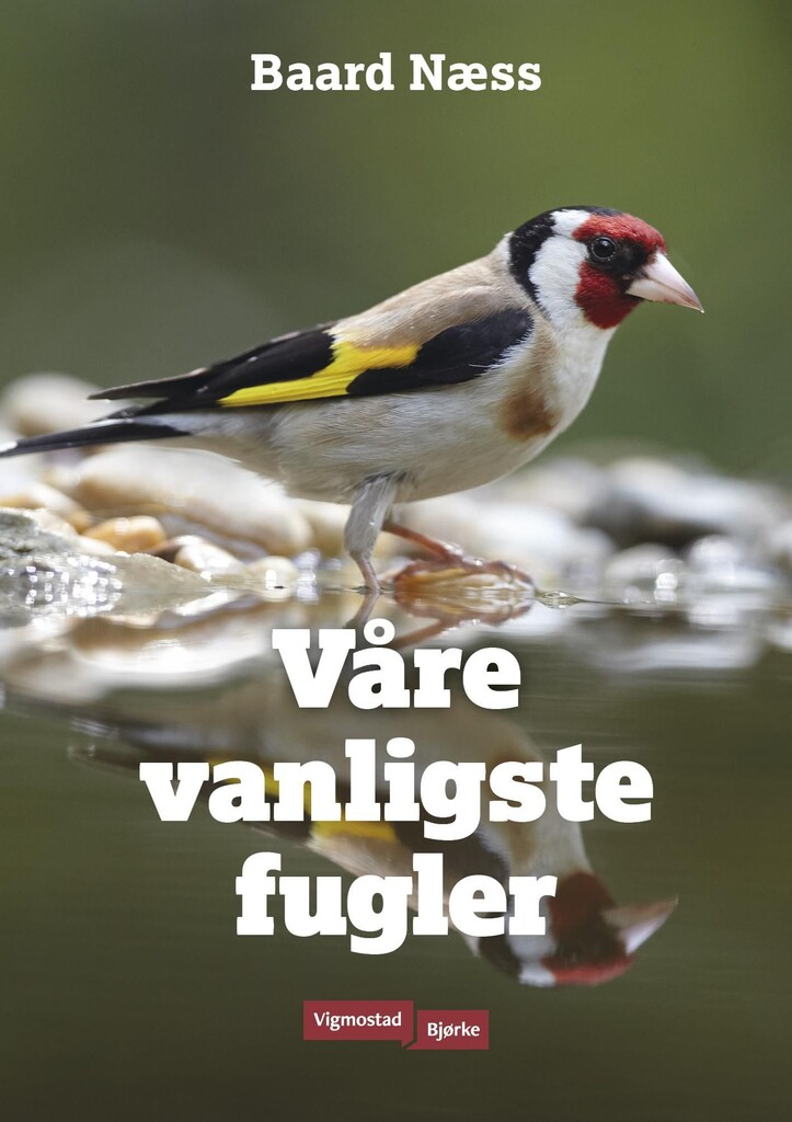 Forsidebilde