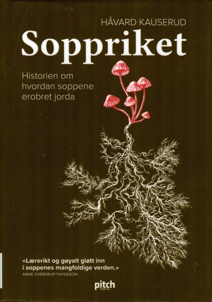 Forsidebilde