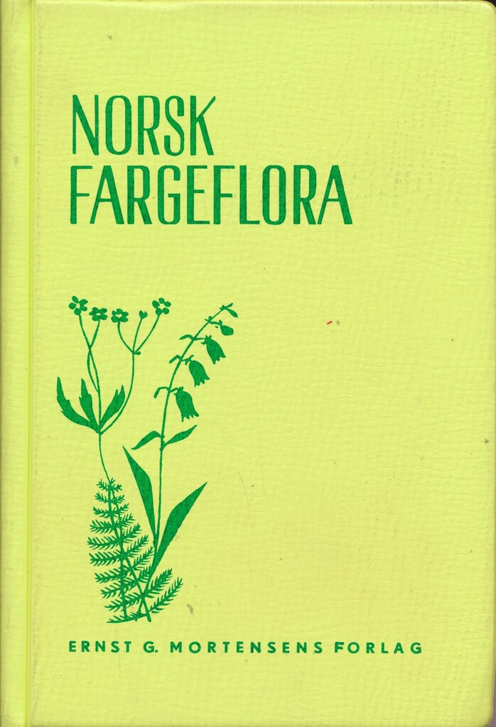 Forsidebilde