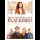 Cover photo:Blackbird