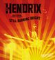 Omslagsbilde:Hendrix : still buring bright