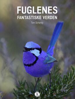 forsidebilde - trykk for å vise stor versjon