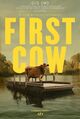 Cover photo:First cow