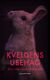 Omslagsbilde:Kveldens ubehag : roman