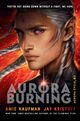 Omslagsbilde:Aurora burning