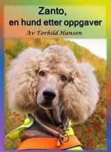 Forsidebilde