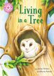 Cover photo:Living in a tree