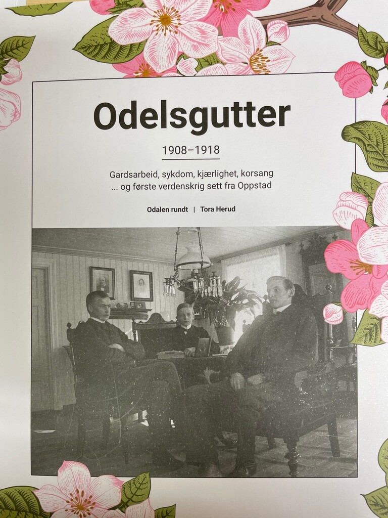 Odelsgutter - 1908-1918 : gardsarbeid, sykdom, kjærlighet, korsang og første verdenskrig sett fra Oppstad