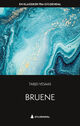 Cover photo:Bruene : : roman