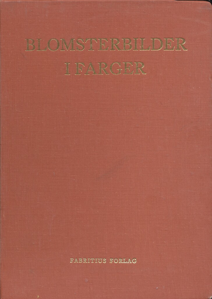 Forsidebilde