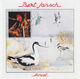 Omslagsbilde:Avocet