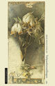 Cover photo:Tulipanforestillingen