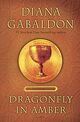 Cover photo:Dragonfly in amber : : a novel
