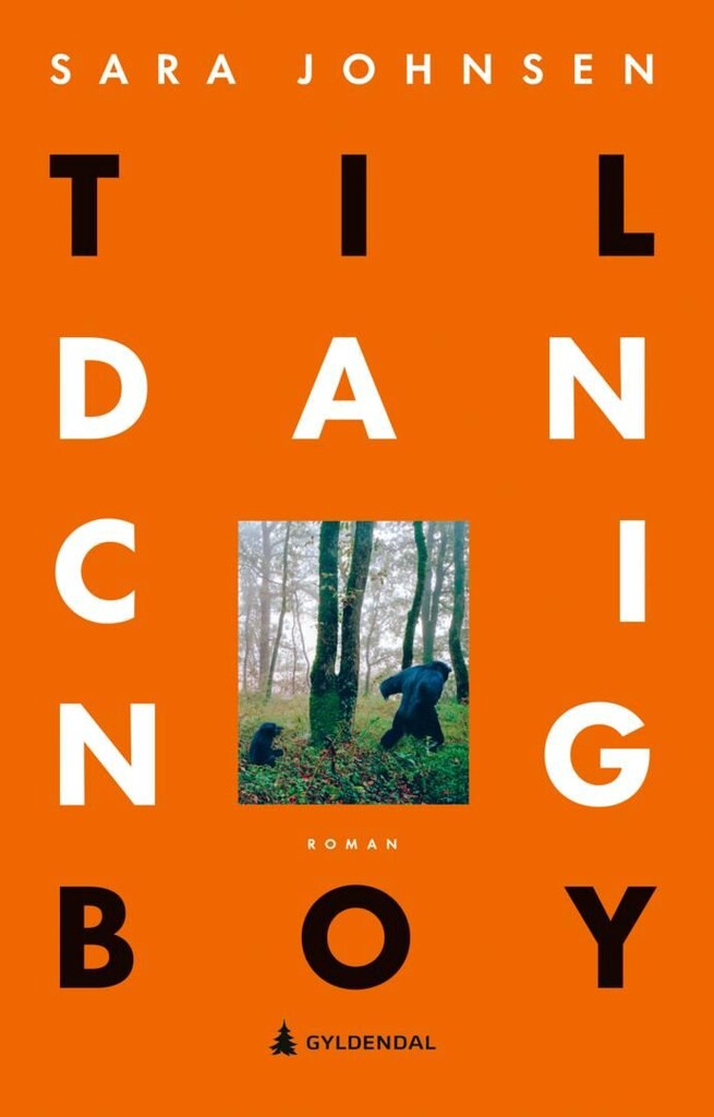 Til dancing boy : roman