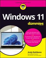 Windows 11
