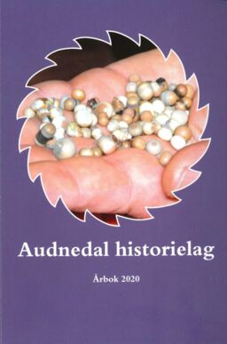 forsidebilde - trykk for å vise stor versjon