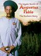 Omslagsbilde:The mystic world of Augustus Pablo : the rockers story