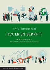 "Hva er en bedrift? : en introduksjon til bedriftsøkonomiske sammenhenger"