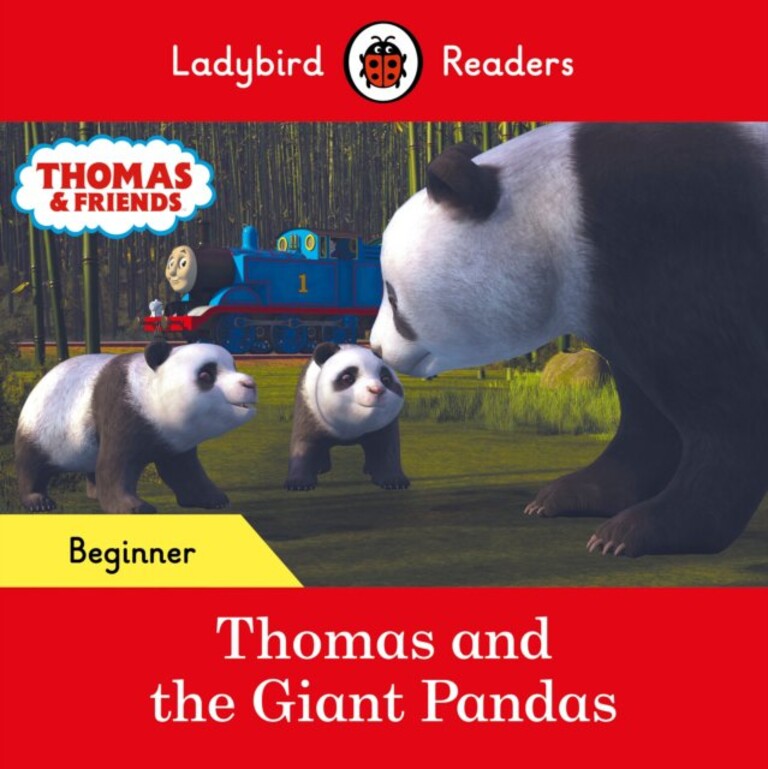 Thomas and the giant pandas