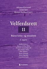 Velferdsrett II : barneverns- og sosialrett