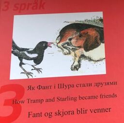 forsidebilde - trykk for å vise stor versjon