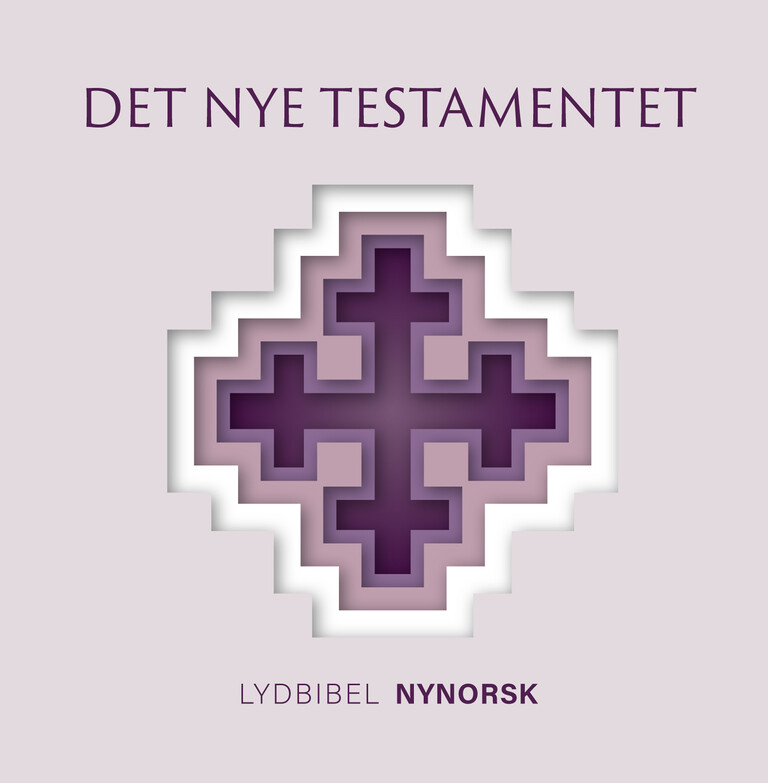 Det nye testamentet - Nynorsk utgåve