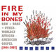 Omslagsbilde:Fire in my bones : raw + rare + otherworldy African-American gospel [1944-2007]