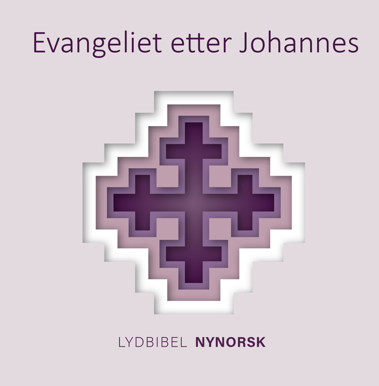 Evangeliet etter Johannes - Bibelen, nynorsk utgåve