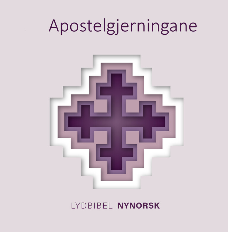 Apostelgjerningane - Bibelen, nynorsk utgåve