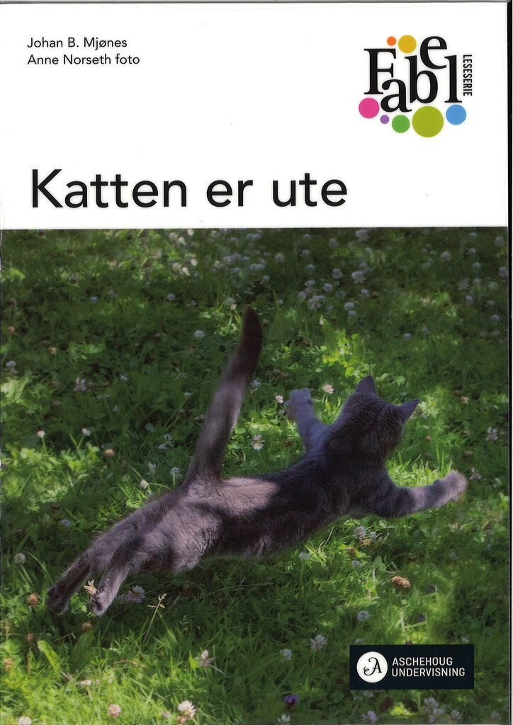 Katten er ute : norsk for barnetrinnet