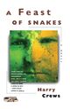 Omslagsbilde:A feast of snakes : a novel