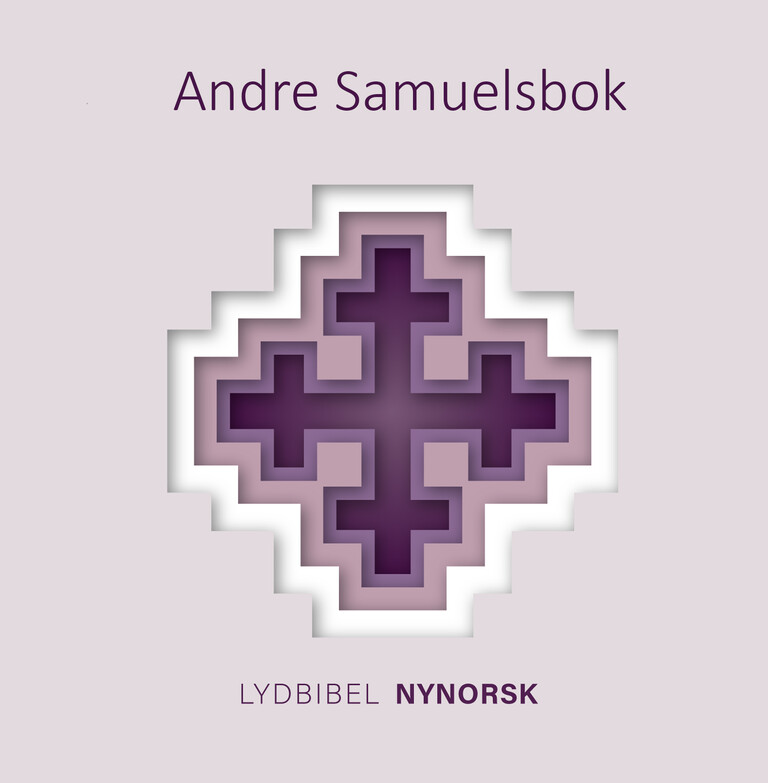 Andre Samuelsbok - Bibelen, nynorsk utgåve