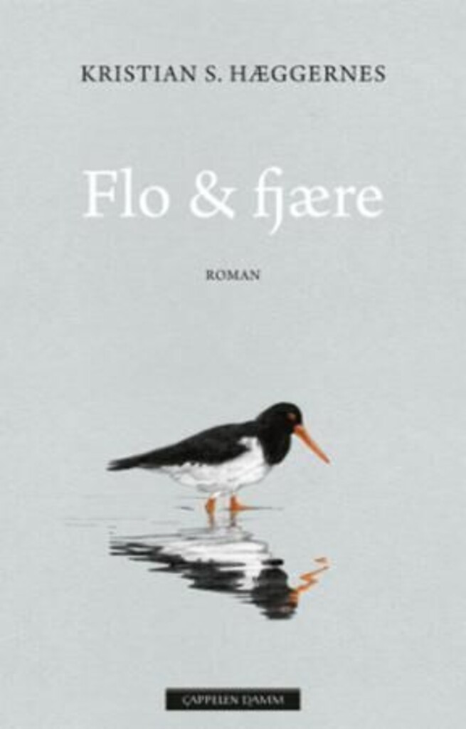 Flo & fjære : roman